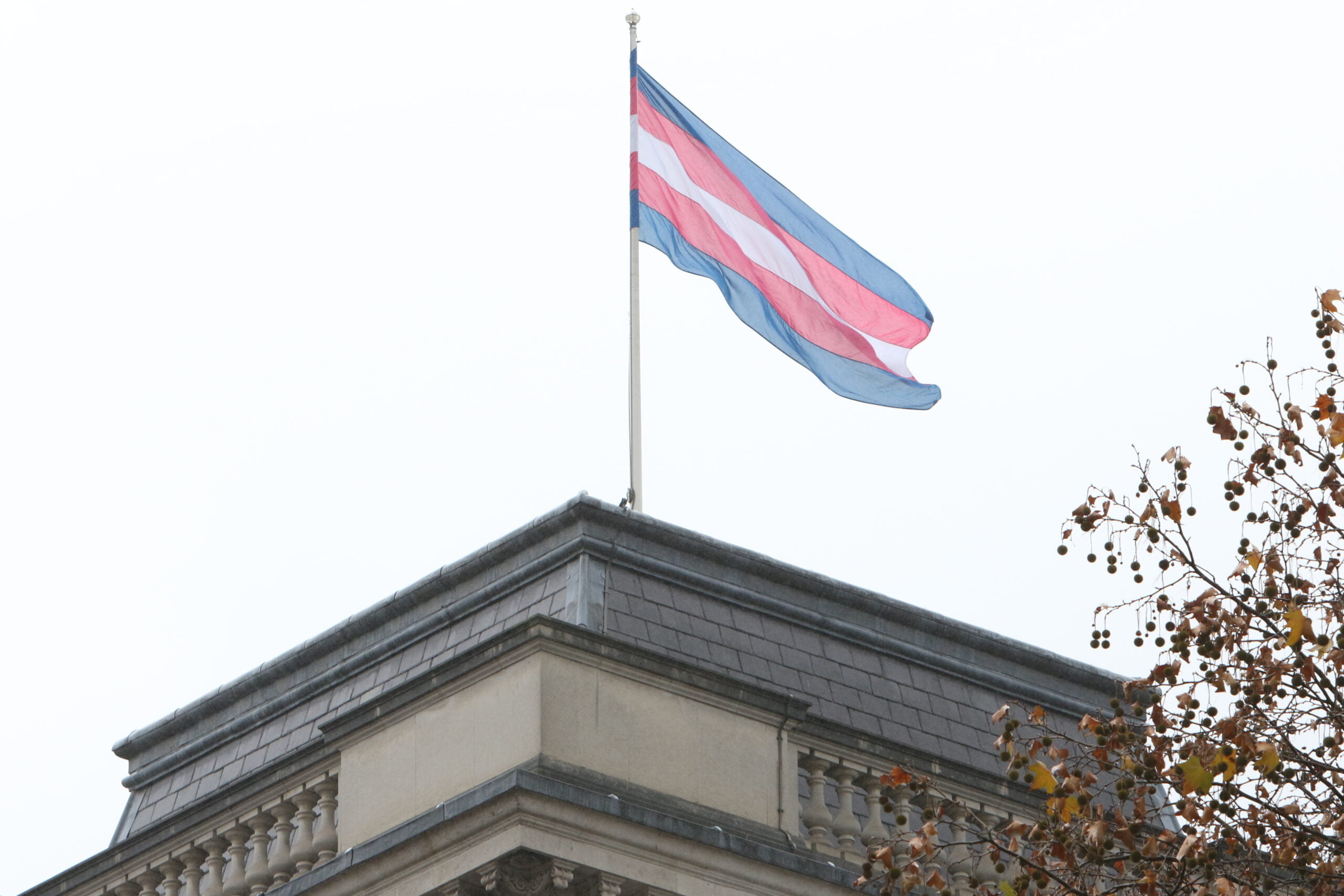 Trans pride flag on top of building
